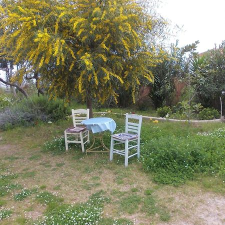 Aparthotel Kassimiotis Agios Andreas  Exterior foto