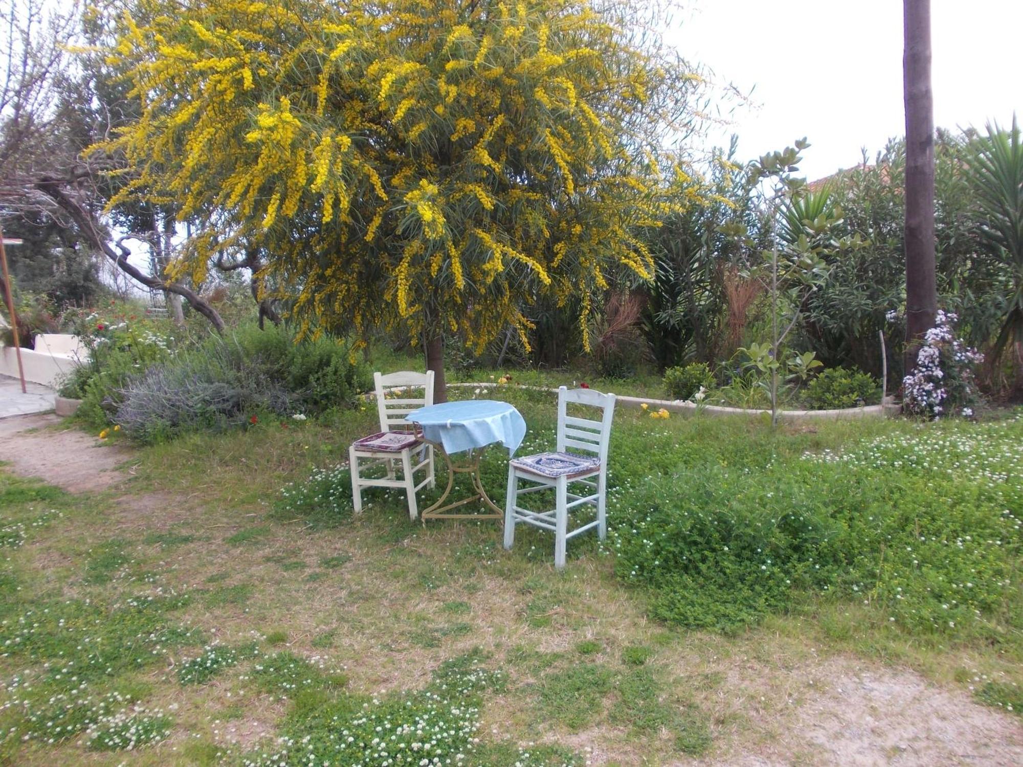 Aparthotel Kassimiotis Agios Andreas  Exterior foto